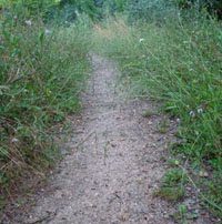 Las lluvias cierran el camino