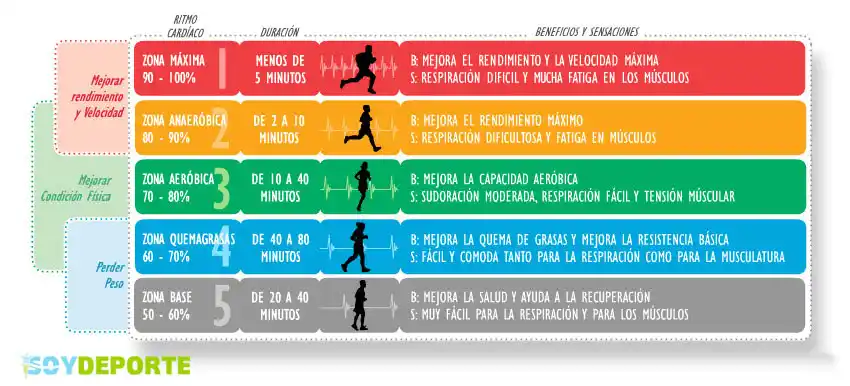 Tabla de zonas cardiacas Tabla de zonas cardiacas
