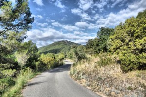 Camí de Mont-Ral