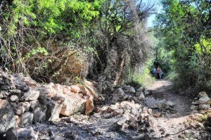 Ruinas de Mas de Xarrumba y el Mas de Camprim