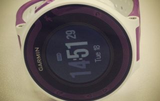Garmin Forerunner 220