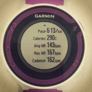 Garmin Forerunner 220