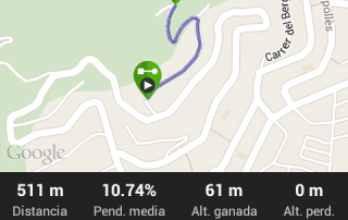 Garmin Conect Detalle Segmento