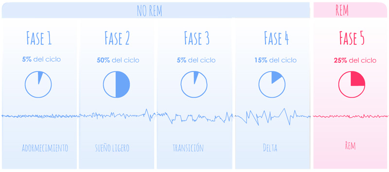 fase_sueno_sleep_stage