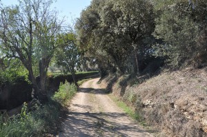 cami a Sant Julià de Boada