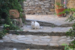 Calles de Palau-Sator