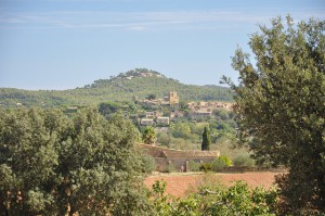 Vista de Pals y Puig d'En Pou