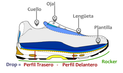 Partes de una zapatilla desde el interior