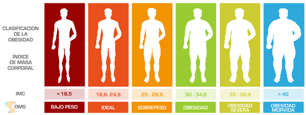 Clasificación de la Obesidad segun el IMC Clasificación de la Obesidad segun el IMC