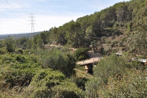 xtrailCastellar_acarenacanyelles