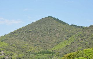 Turó Montalt