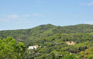 Turó d'En Bosc