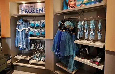 Boutique Celebration tienda de Frozen