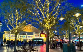 Diseño Word Premier Plaza - Disney Aventure World