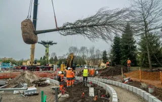 Construcción - Toy Story Garden Trail